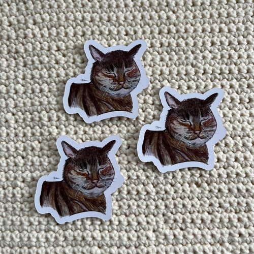 Stickers ‘kaatje’ 3 stuks