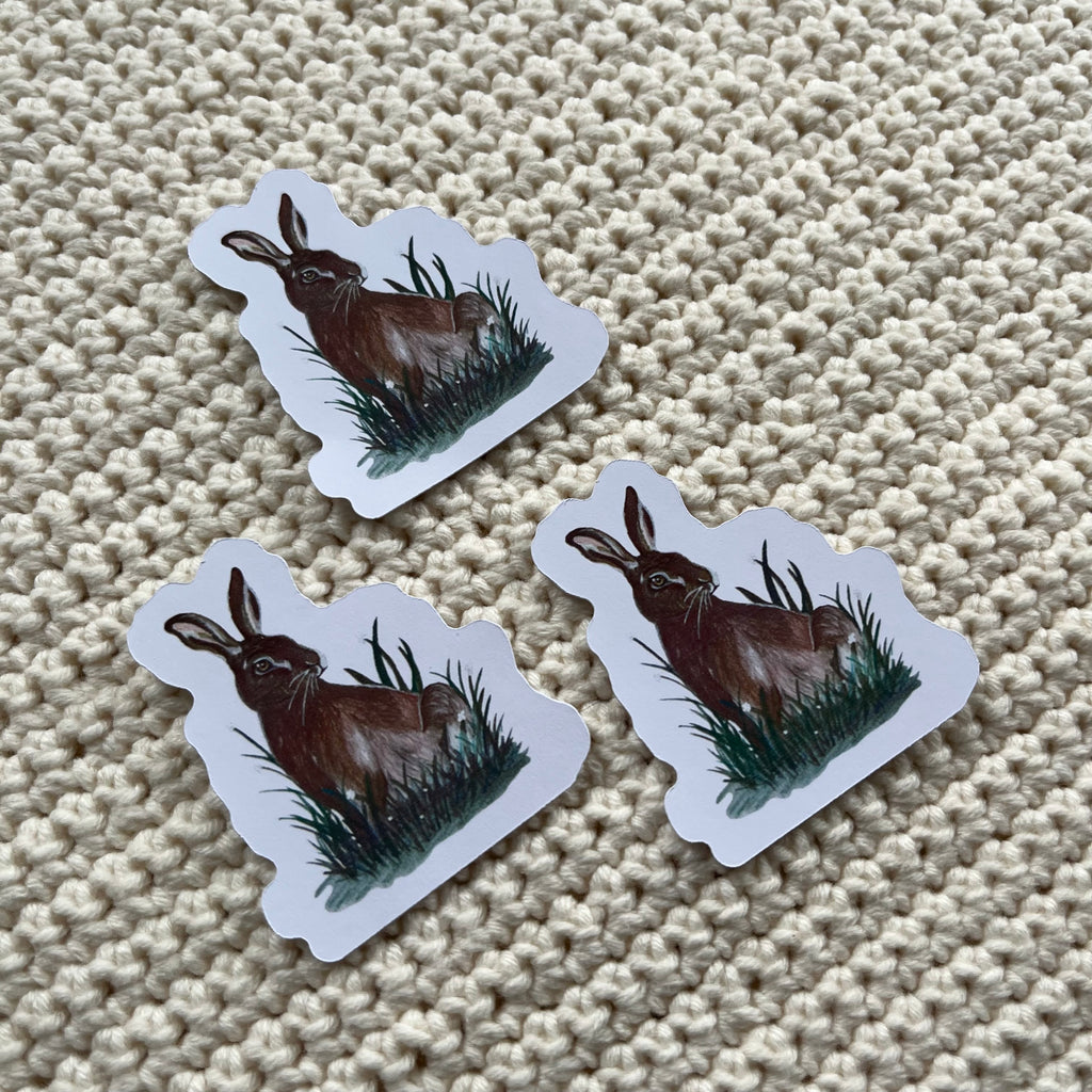 Stickers ‘de haas’ 3 stuks