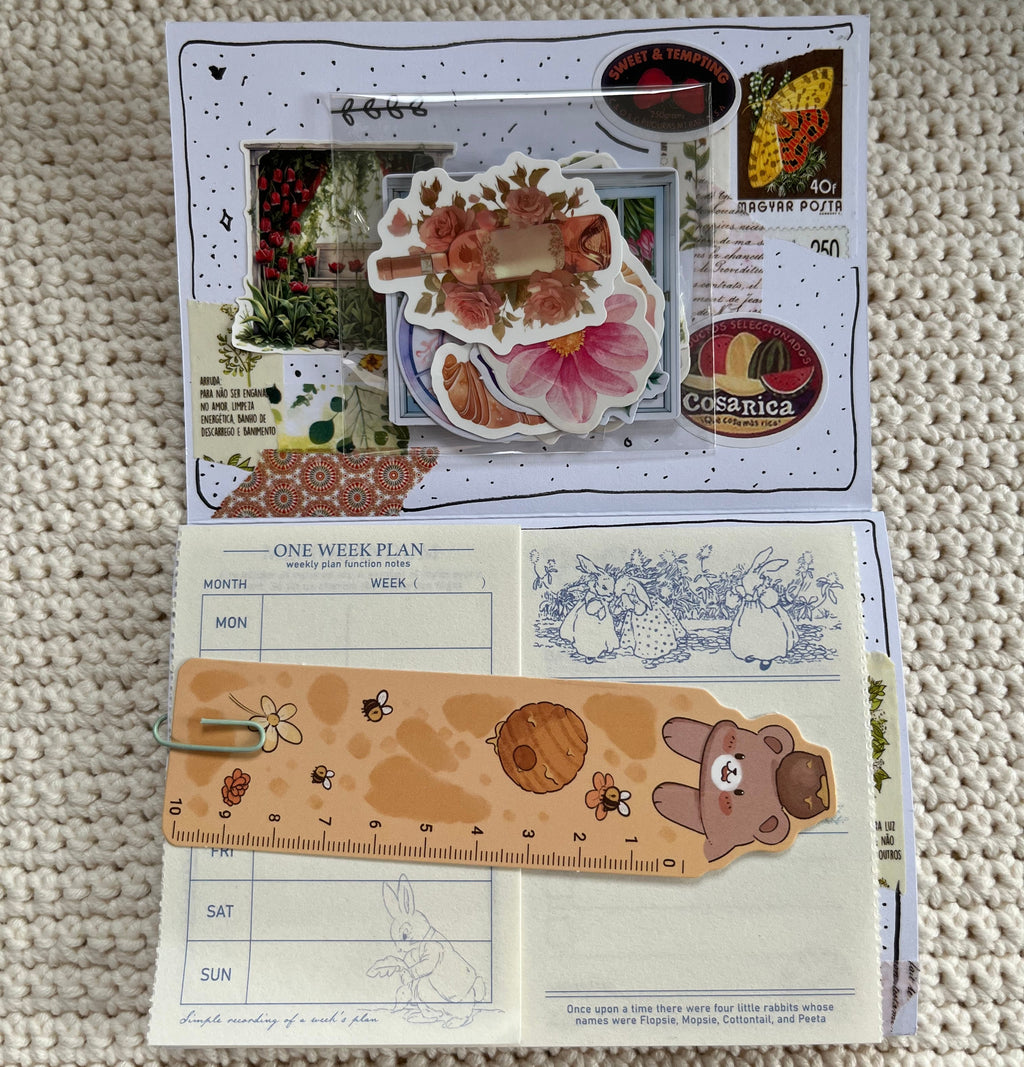Mega snailmail