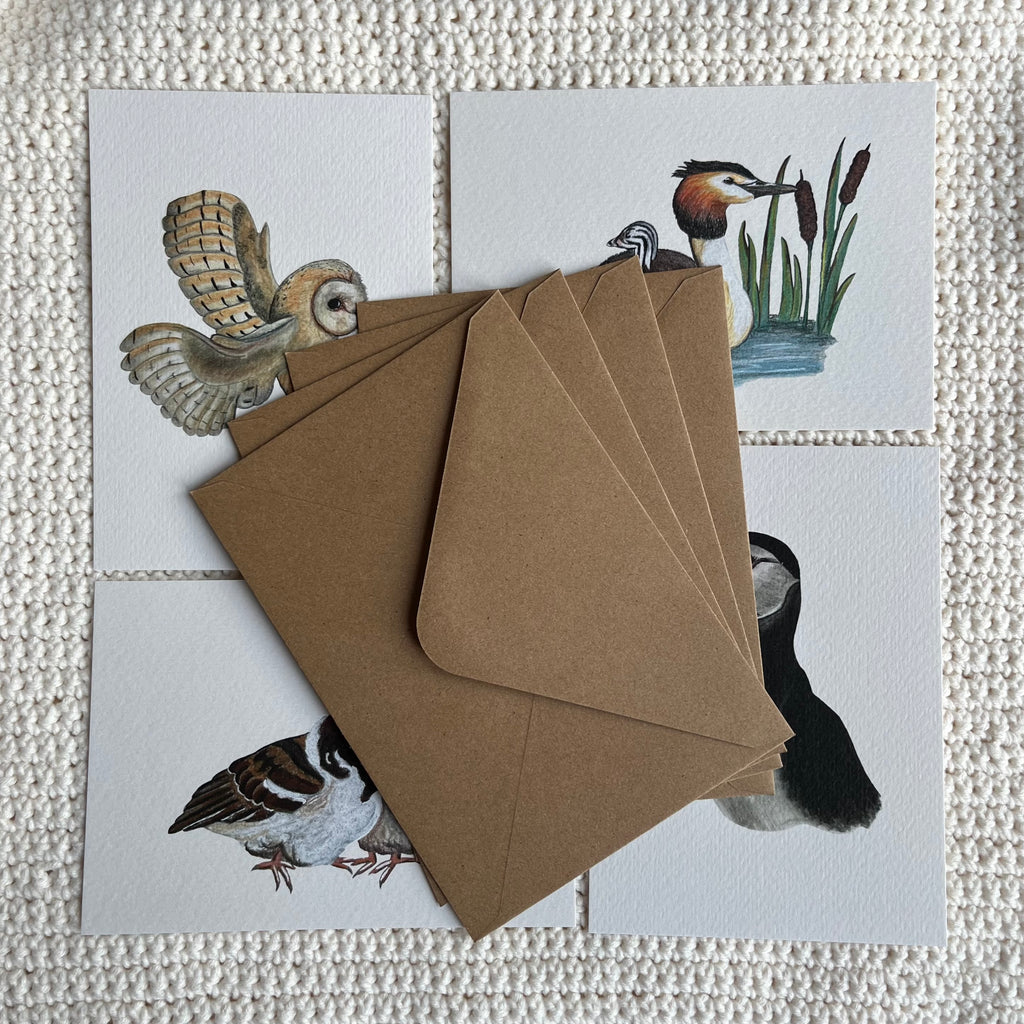 Kaartenset ‘vogels’ 4 stuks