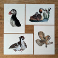 Kaartenset ‘vogels’ 4 stuks